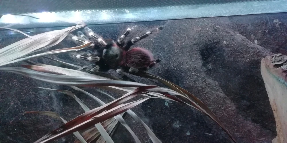 Bild hochgeladen von Marcel