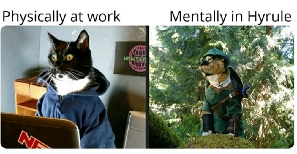 Bild hochgeladen von Marv