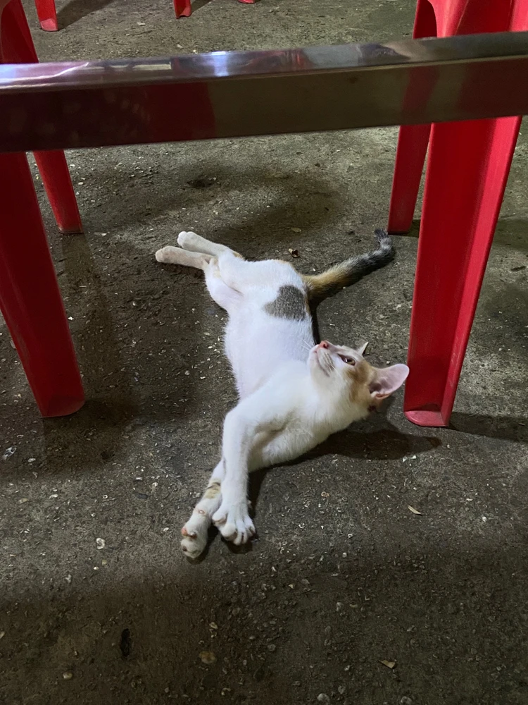 Image uploaded by Rozeanna