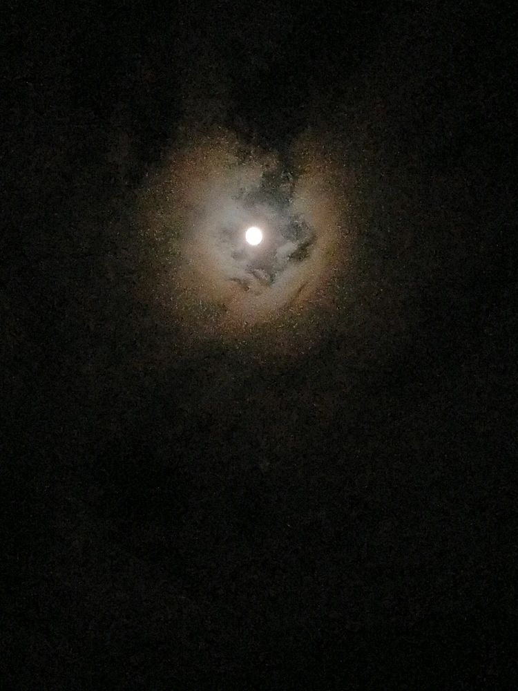 Image uploaded by Sarah