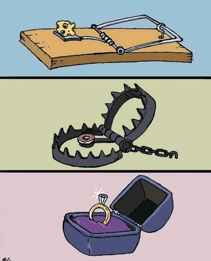 Image ajoutée par abdo