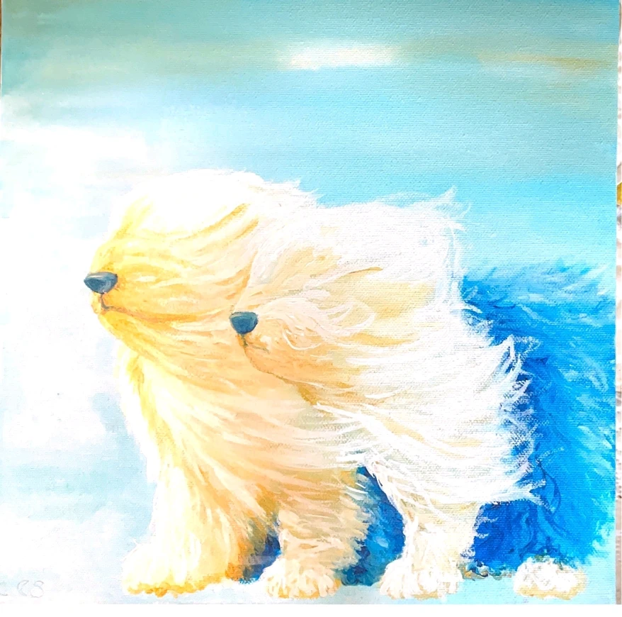Image uploaded by Cheza