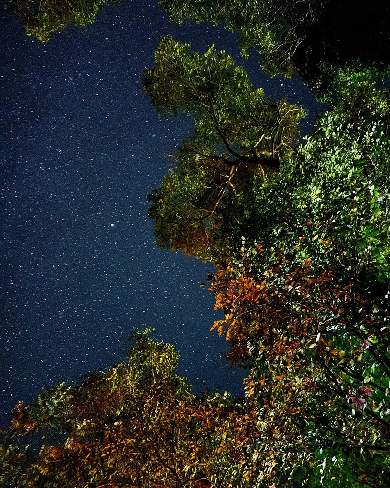 Image uploaded by Mahendra