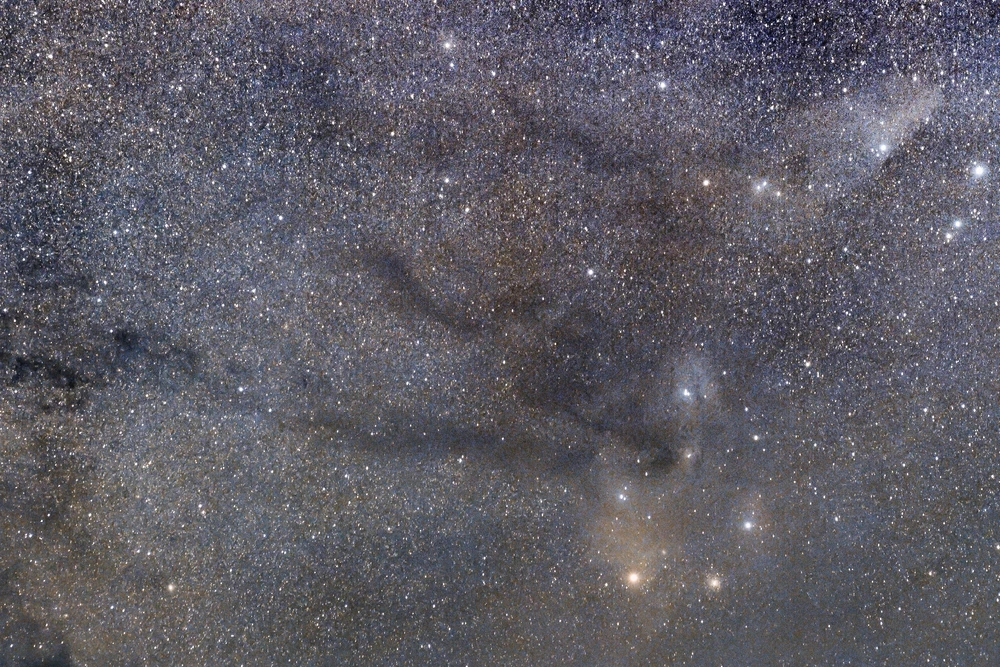 Image uploaded by Harry