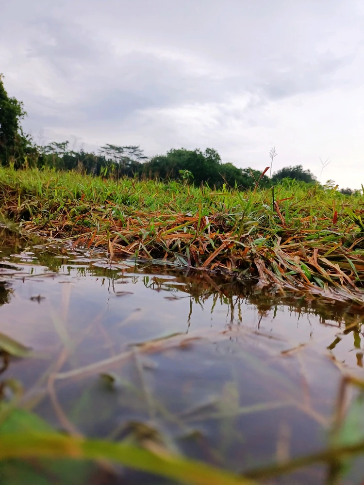 Gambar diunggah oleh Sean Abe