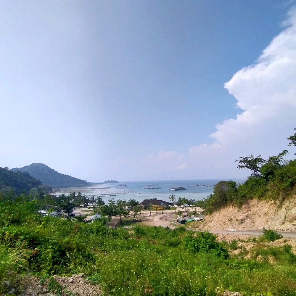 Image uploaded by Owly