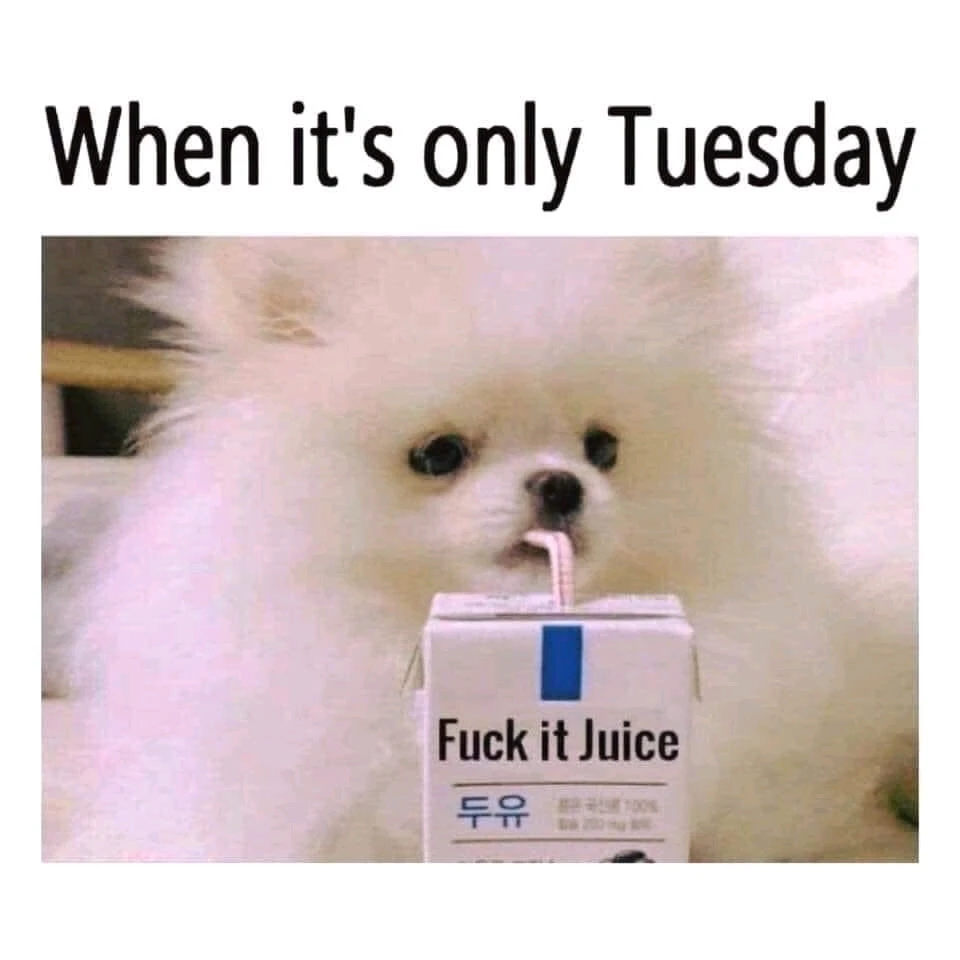 Image uploaded by Tony