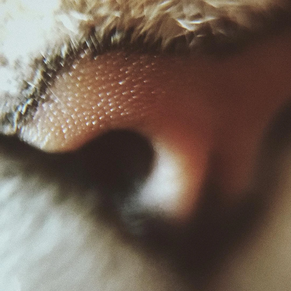 Фото загрузил Alexey