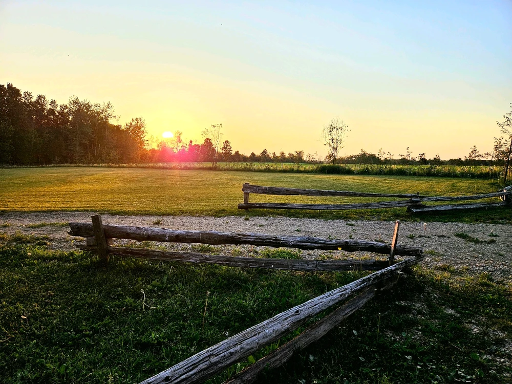 Image uploaded by Heather