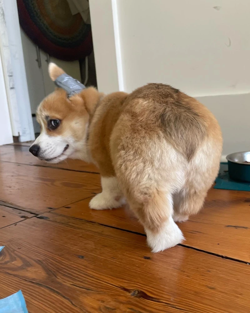 Image uploaded by Jo