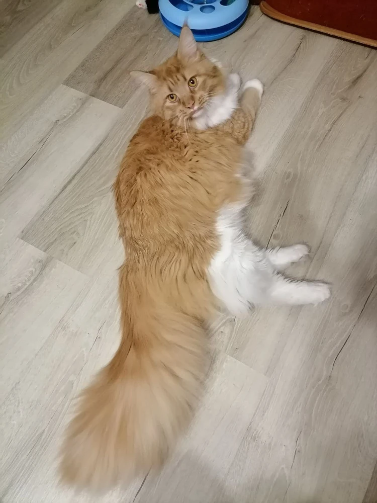 🌺Джени 🙇🏻‍♀️ 제니 🌺님이 올린 사진