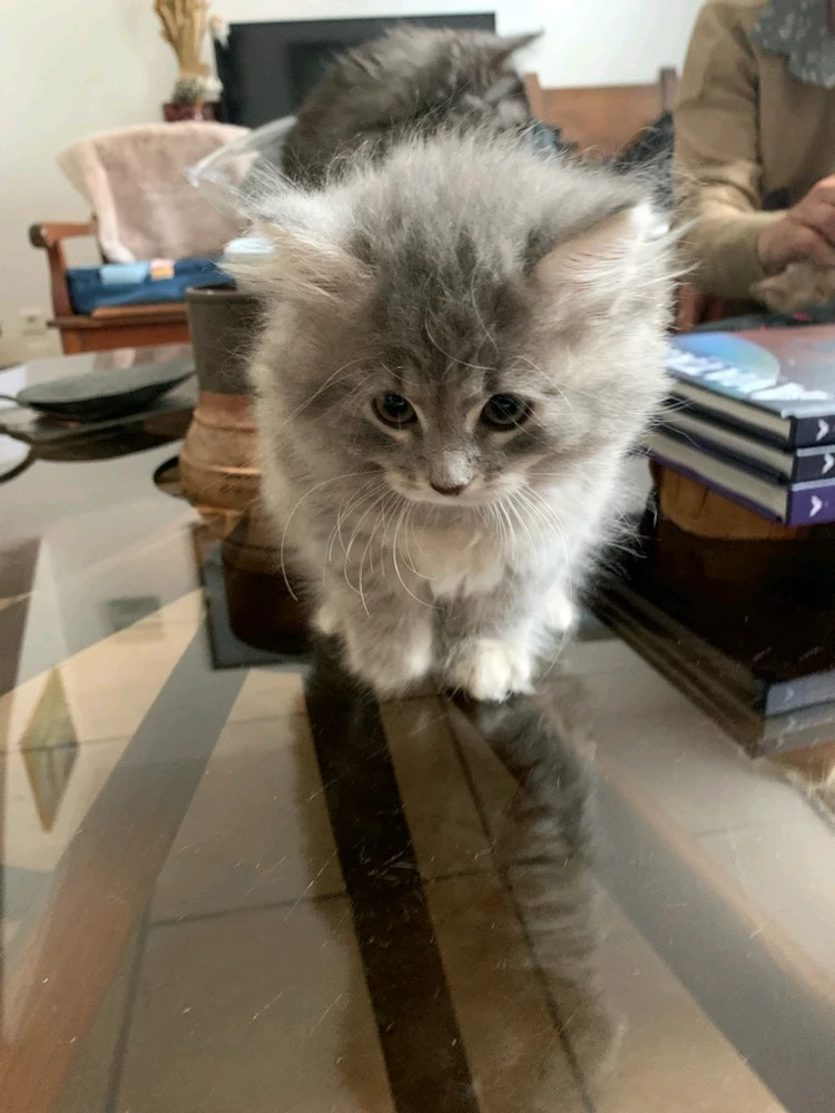 Image ajoutée par Dreefter