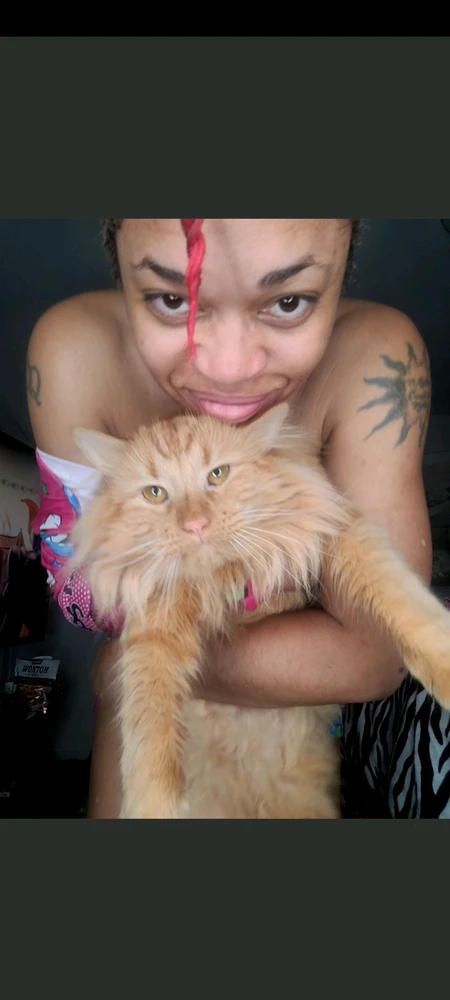 Image uploaded by Qing Mother