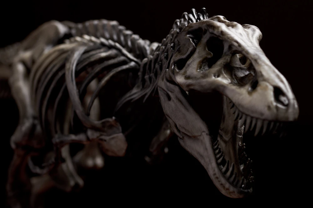 Image uploaded by Vagif