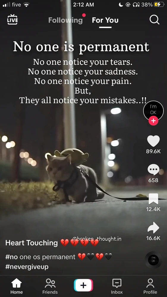 Image uploaded by Mizan