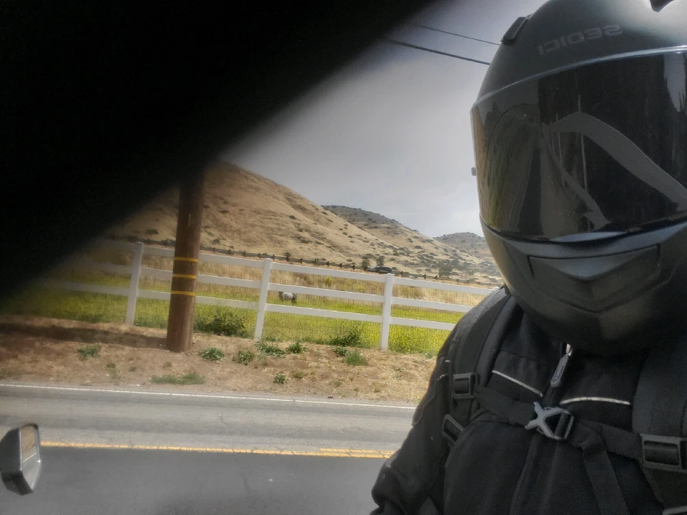 Image uploaded by Jessica