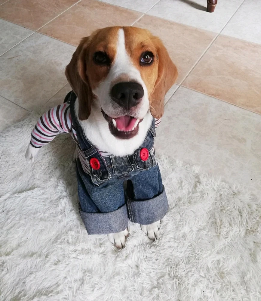 Imagen subida por Cristhian