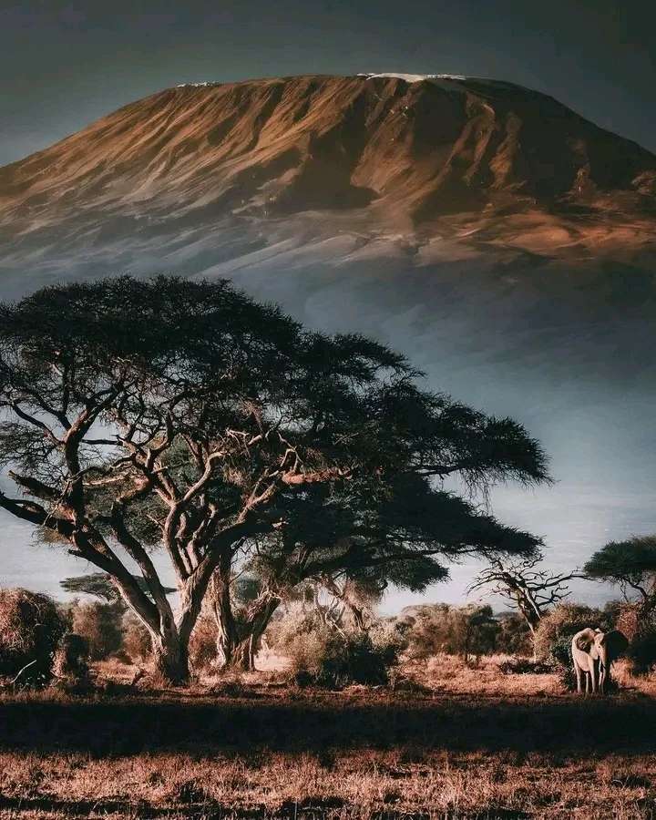 Gambar diunggah oleh 𝐬𝓨αⒻ