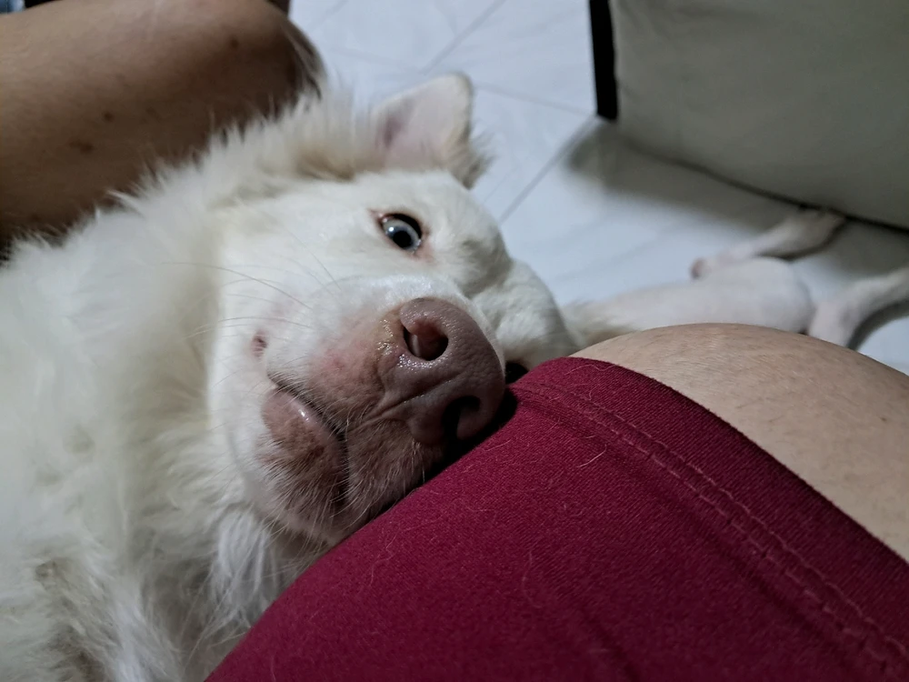 Image uploaded by Kris