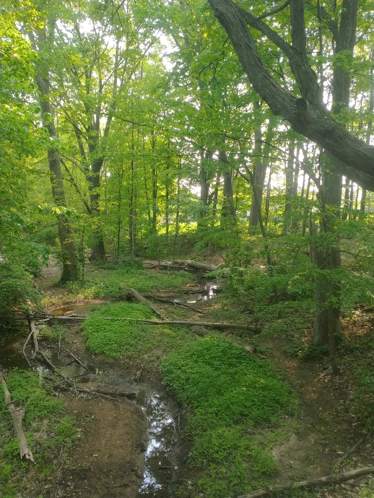 Image uploaded by Christy