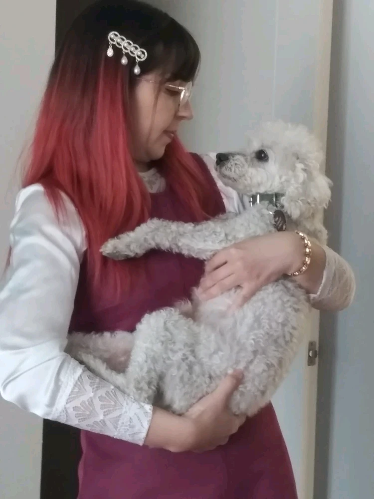 Imagen subida por Hikari