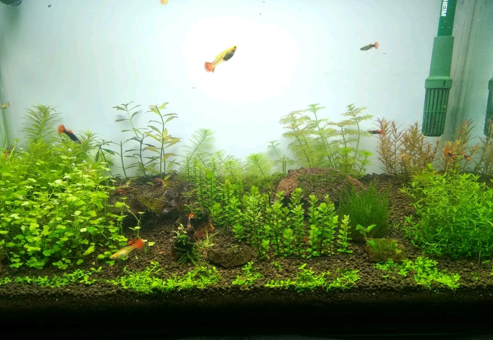 Image uploaded by sebastian