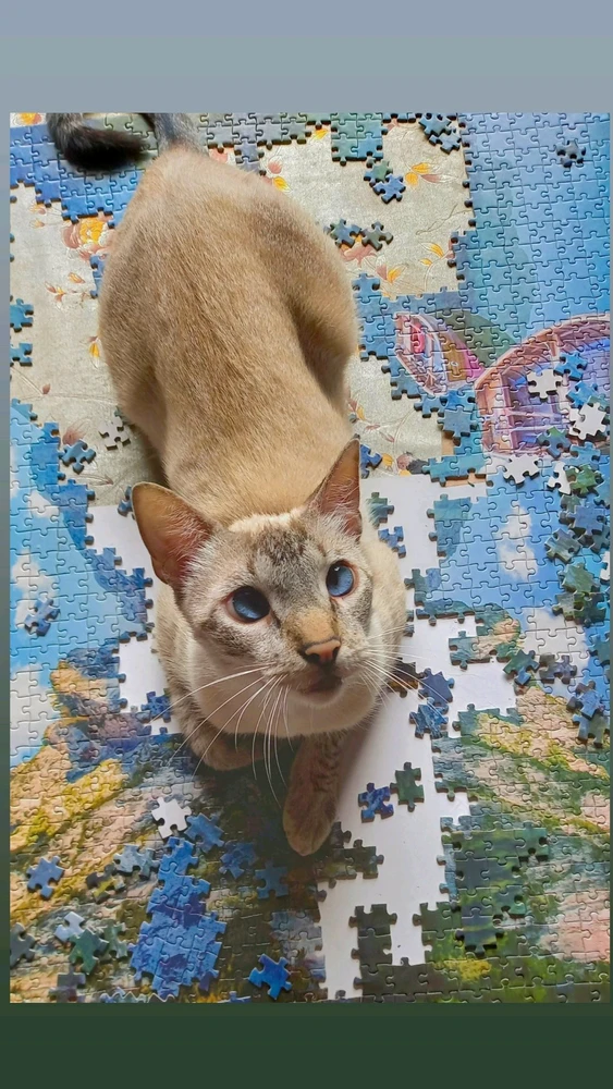 Imagen subida por Ibe