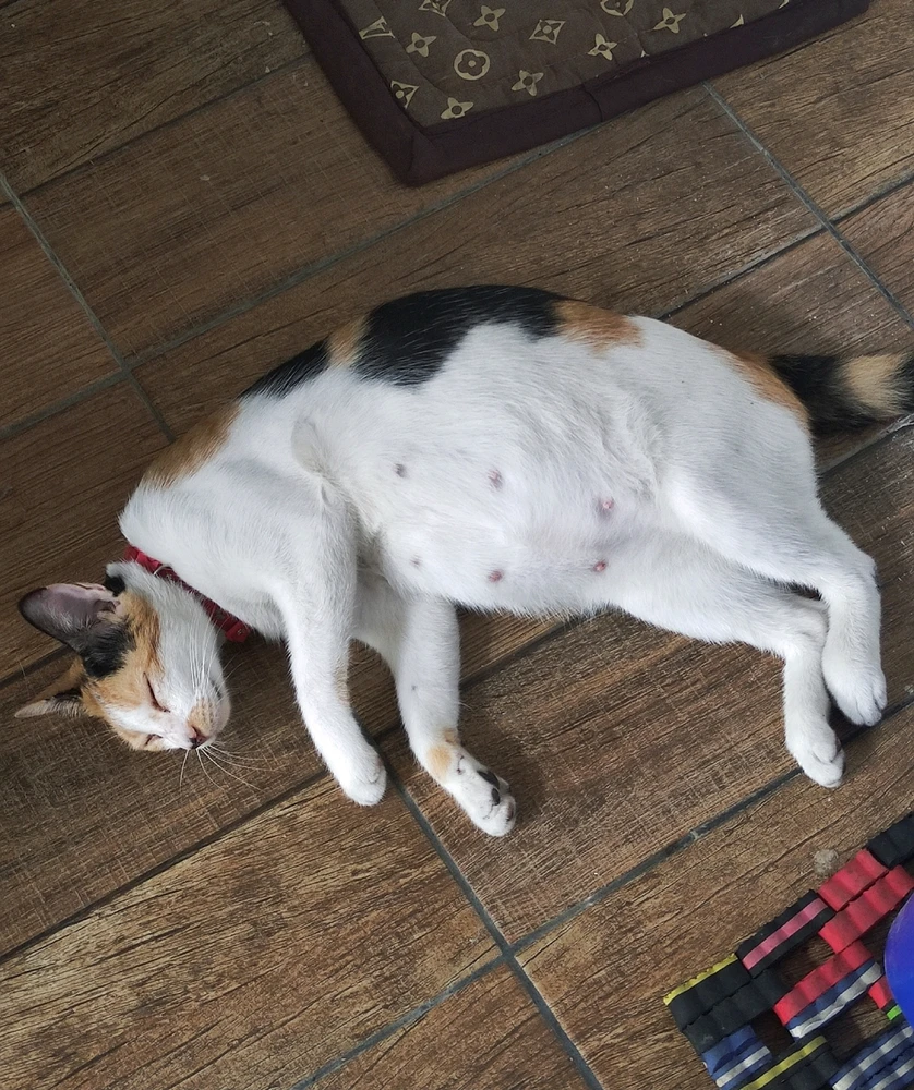 Image uploaded by Liah