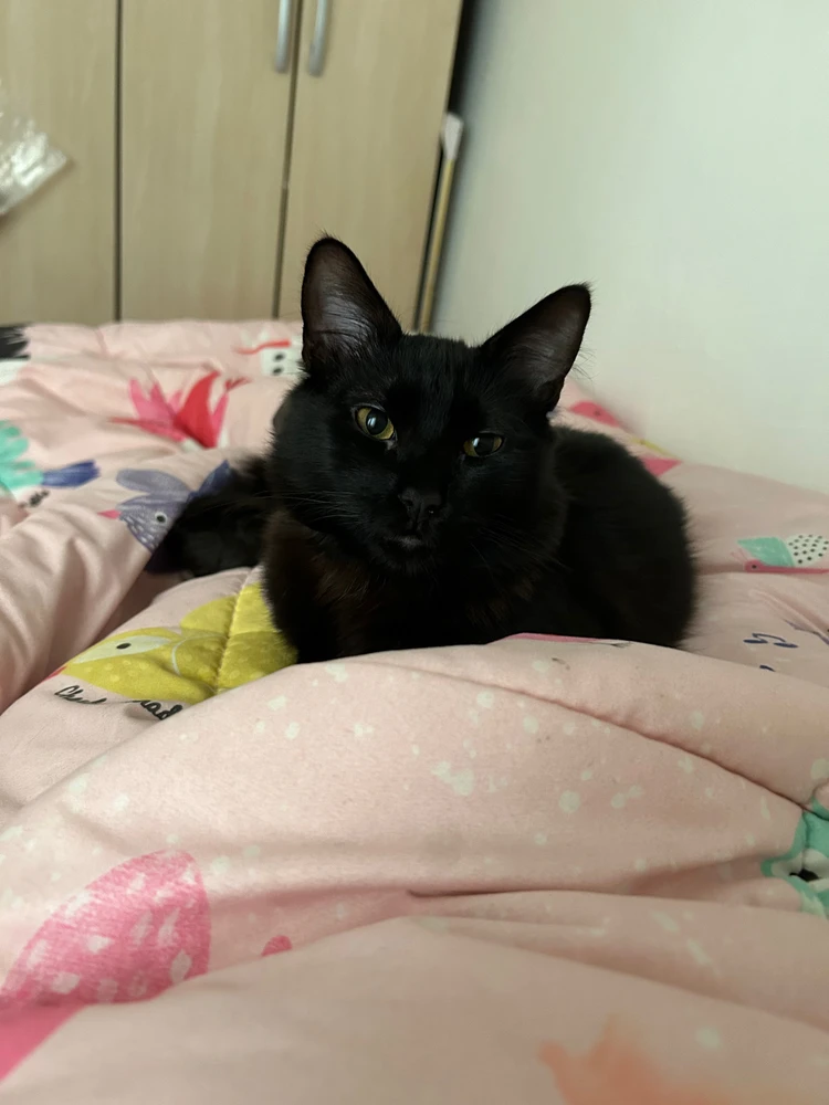 Valentinaがアップロードした画像