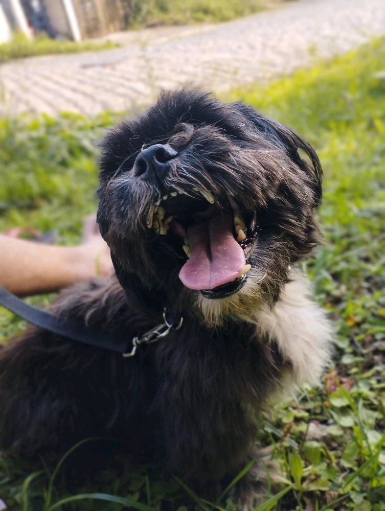 Imagem enviada por Zack