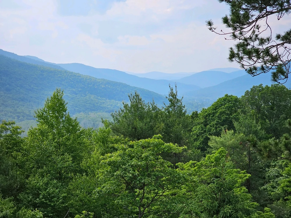 Image uploaded by Will