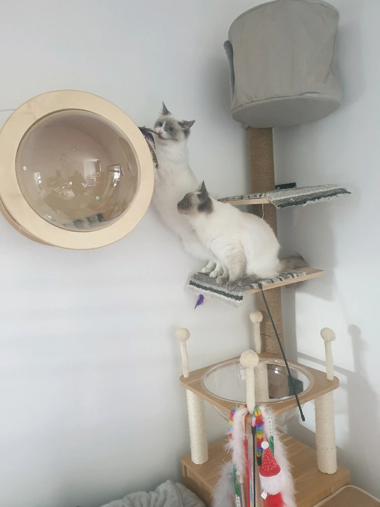 Image uploaded by Zharok