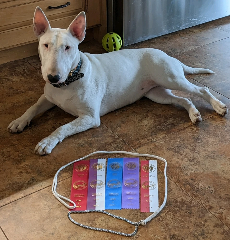 Image uploaded by Ash