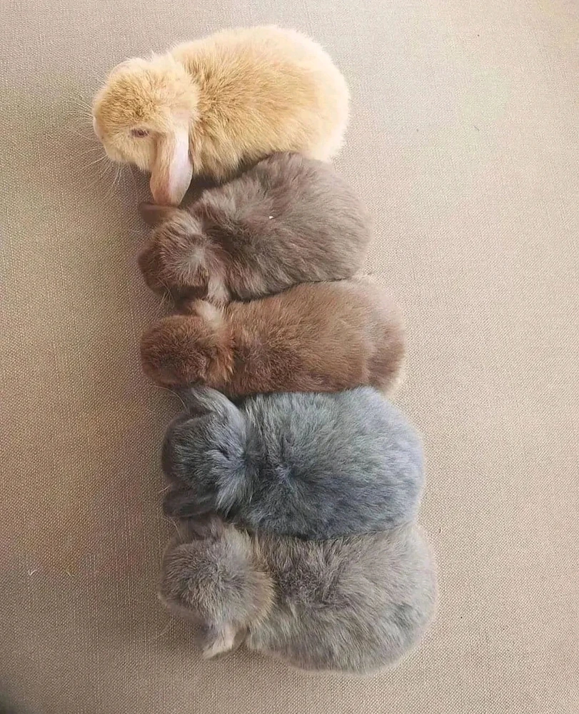 Bild hochgeladen von Thomas