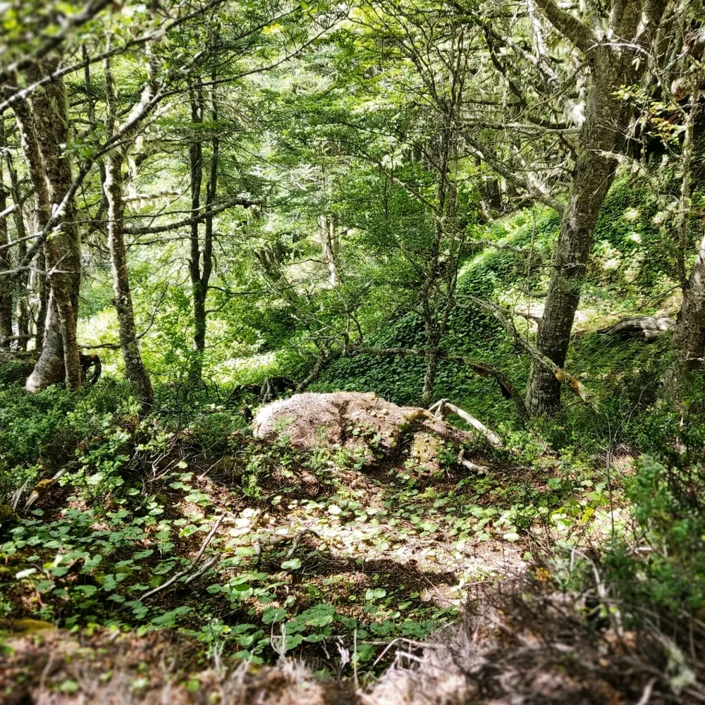 Imagen subida por Poste de luz ✨