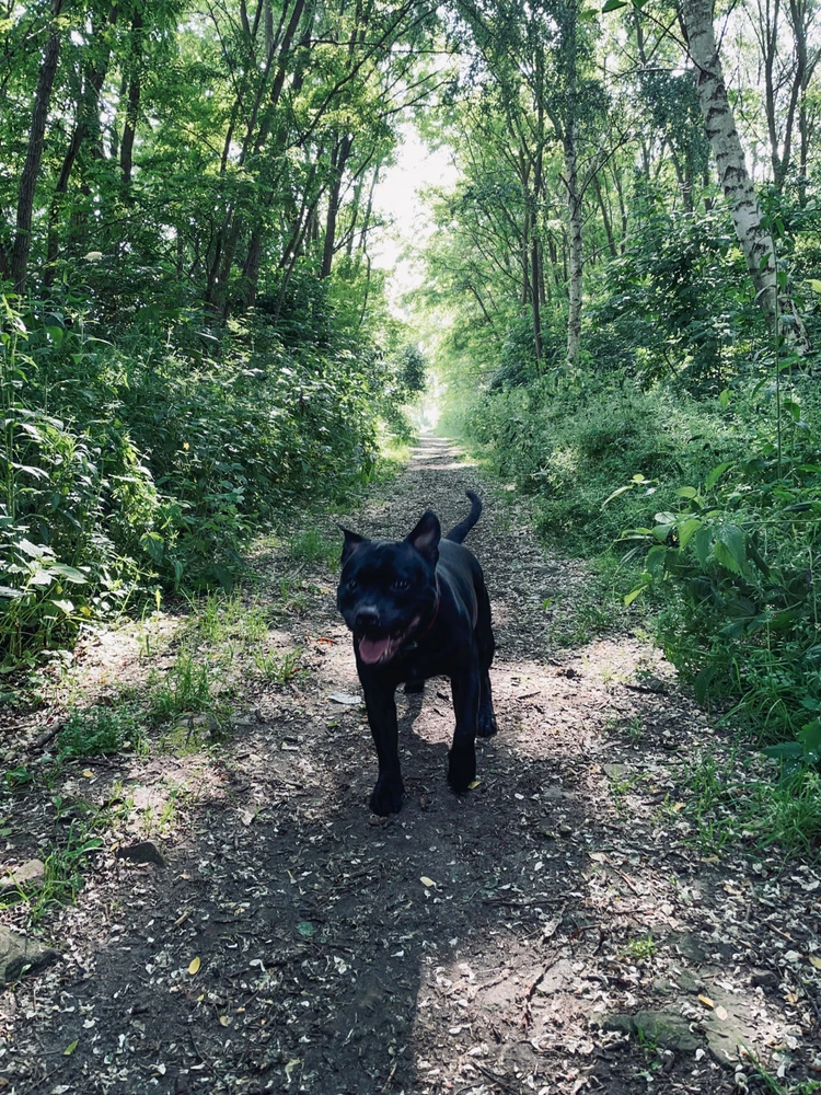 Image uploaded by Łukasz