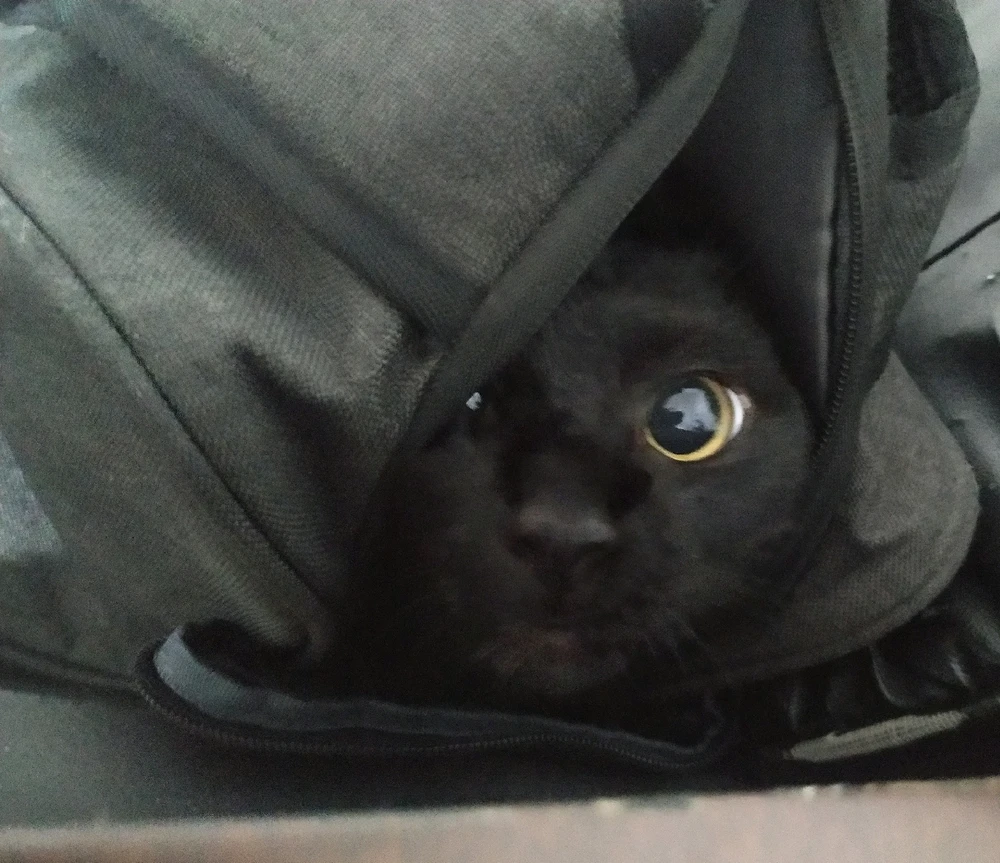 Imagem enviada por MP