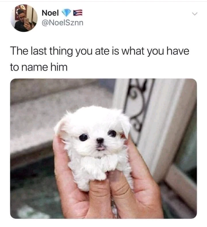 Image uploaded by ♥️ Silly_girl 😘