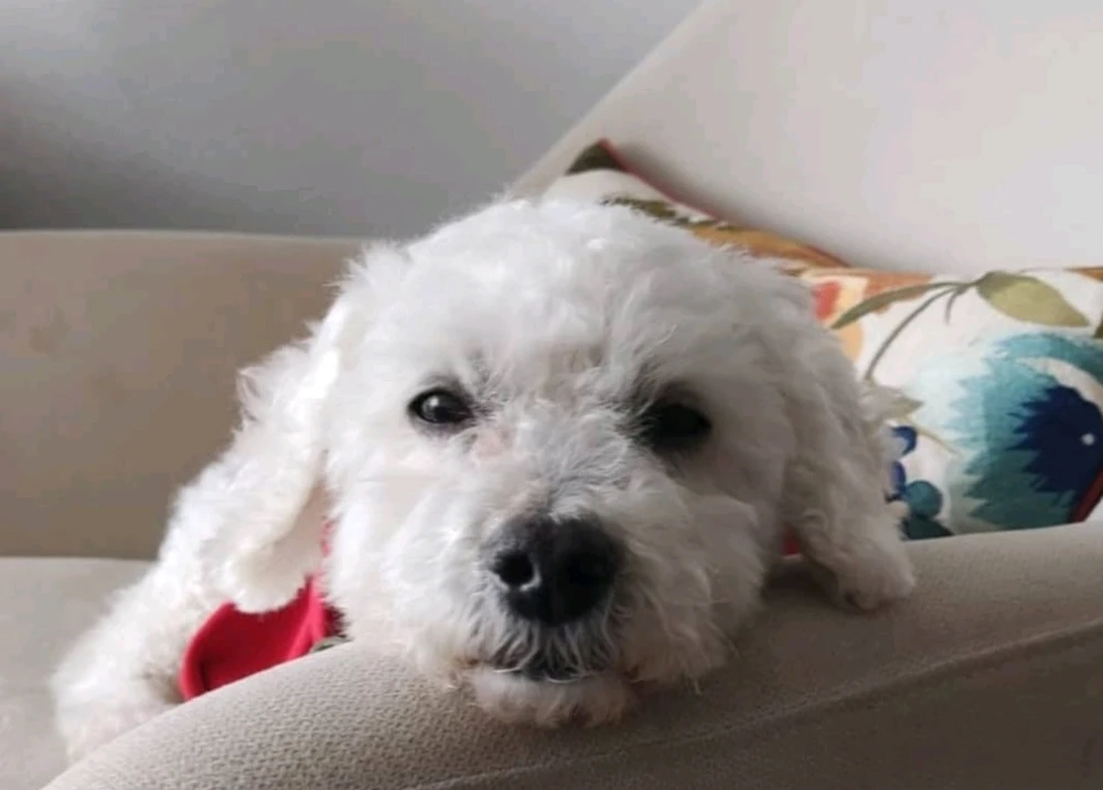 Imagen subida por Hikari