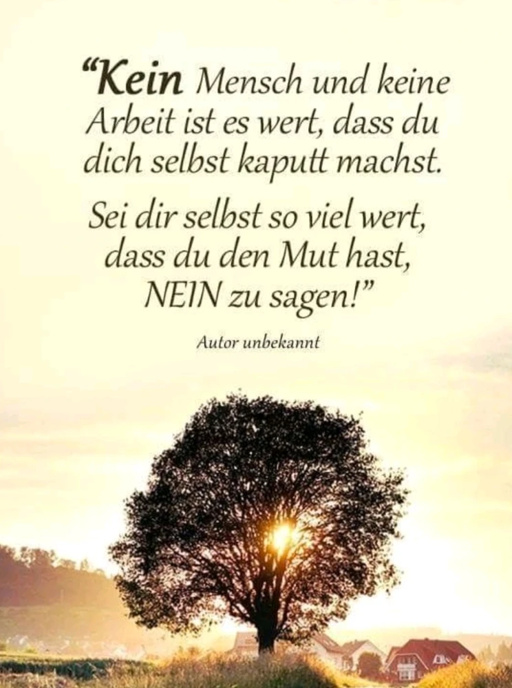 Bild hochgeladen von Thomas