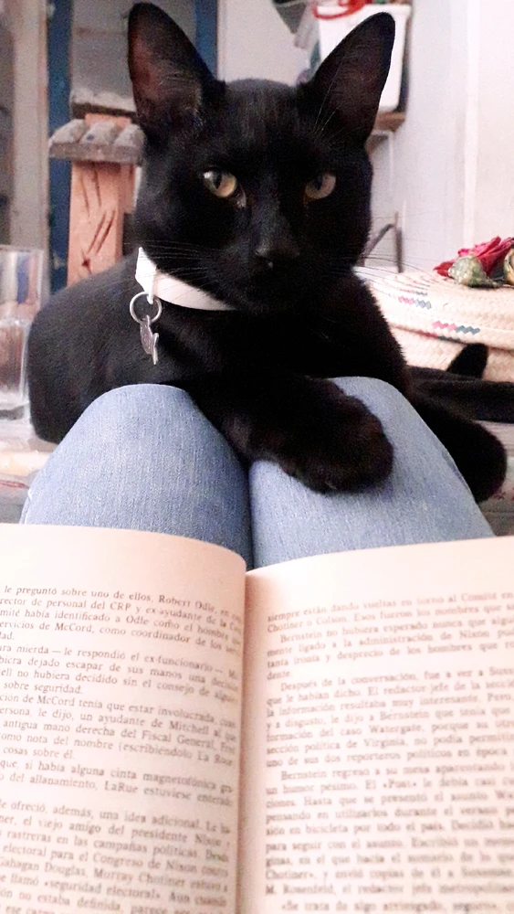 Imagen subida por Eli