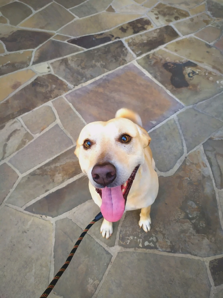 Imagem enviada por Israel