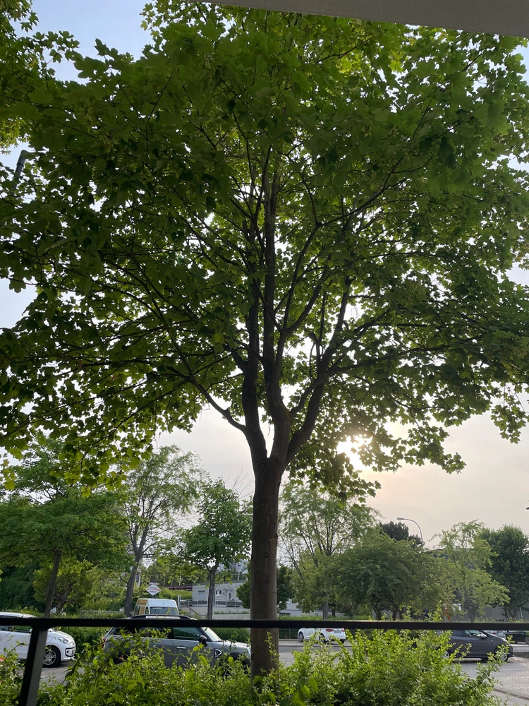 Bild hochgeladen von Miriam