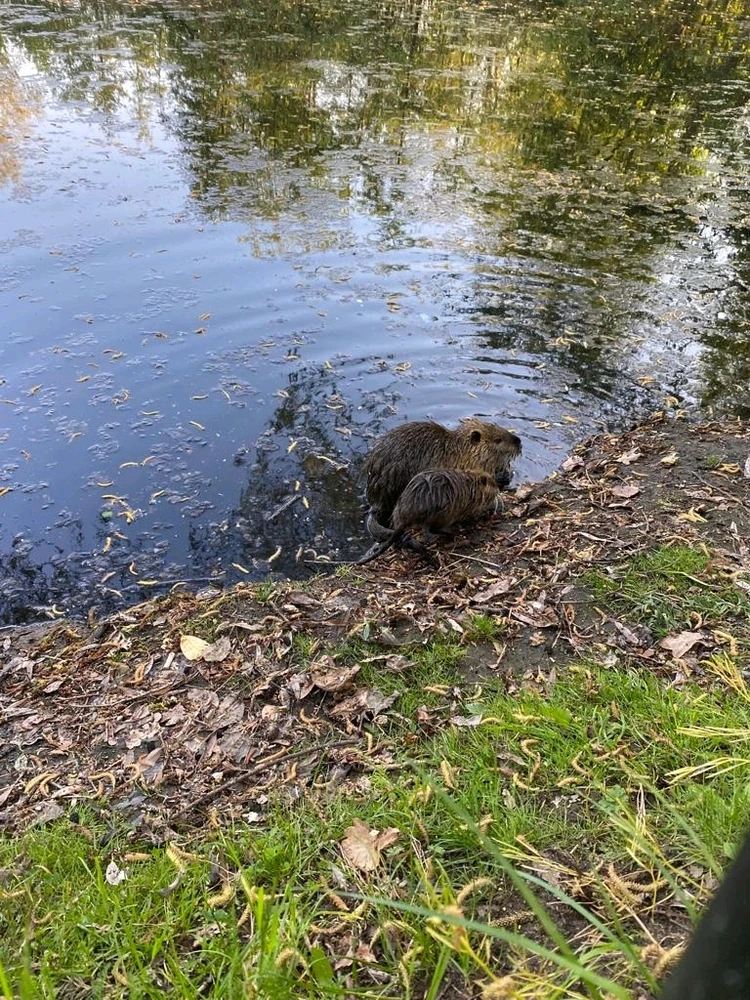 Bild hochgeladen von Koitz