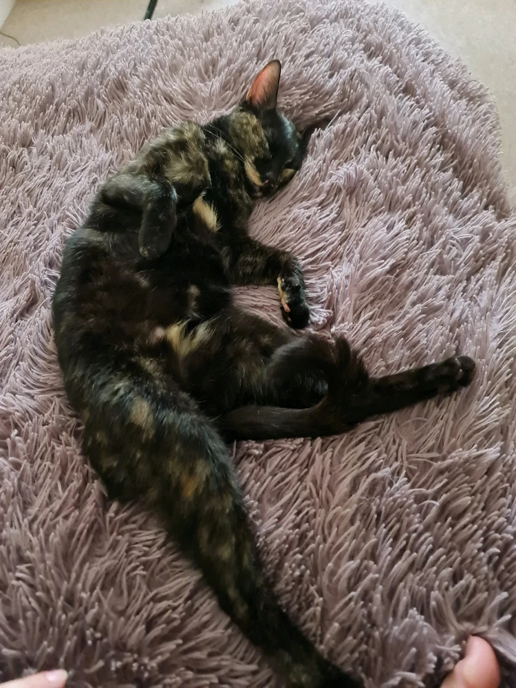 Image uploaded by Patrycja