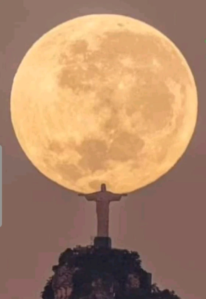Mufananidzo wakaiswa na Padraig