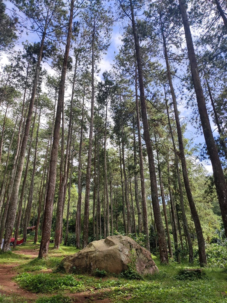 Image uploaded by Saras