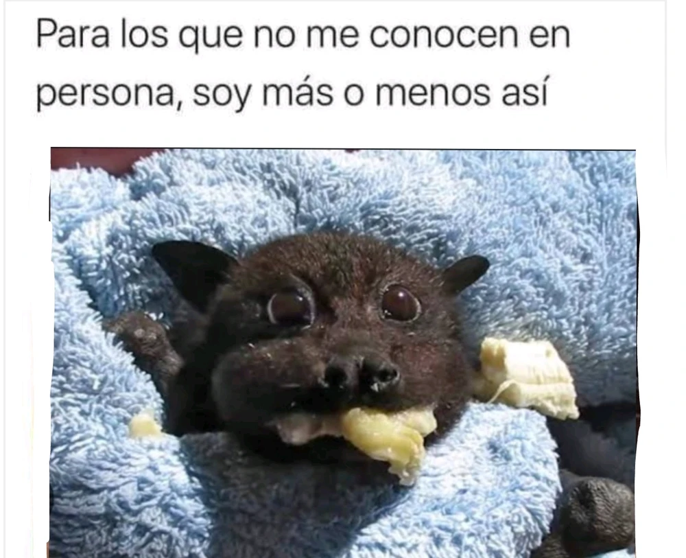 Todo sobre el movimiento que buscar revivir los memes del pasado | WIRED, image size:1000x813