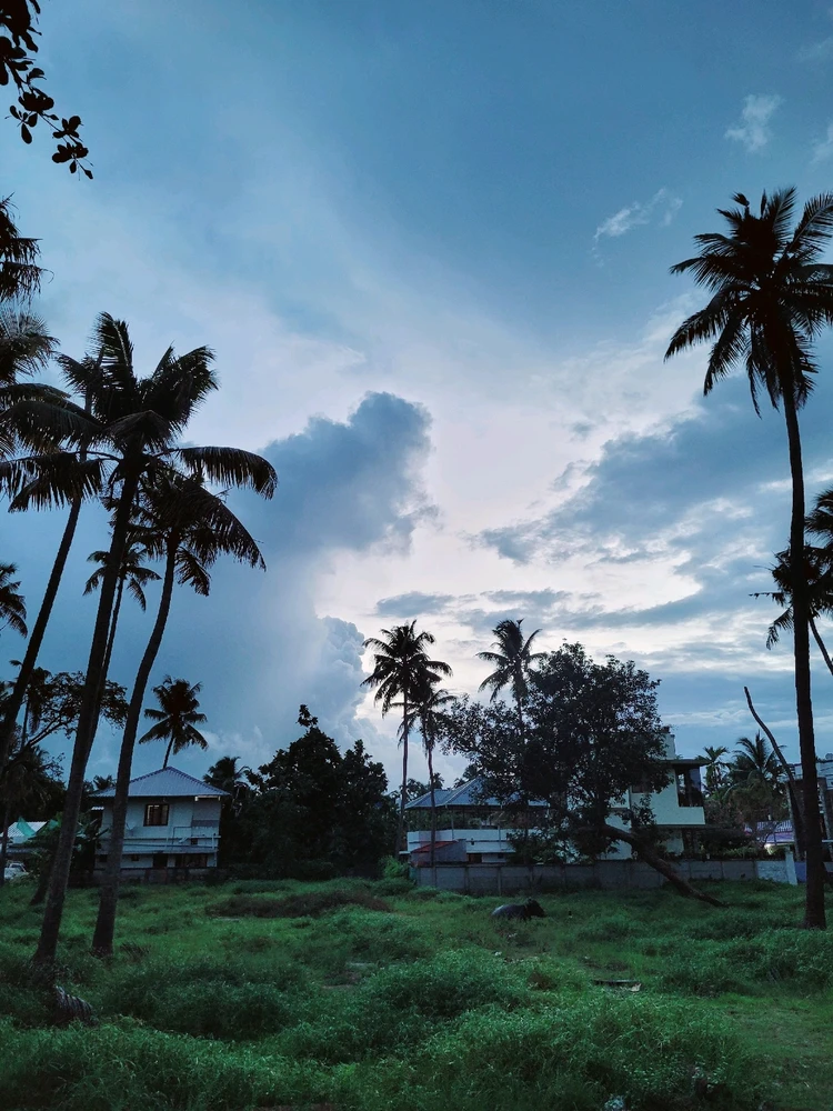 Image uploaded by Joyal M