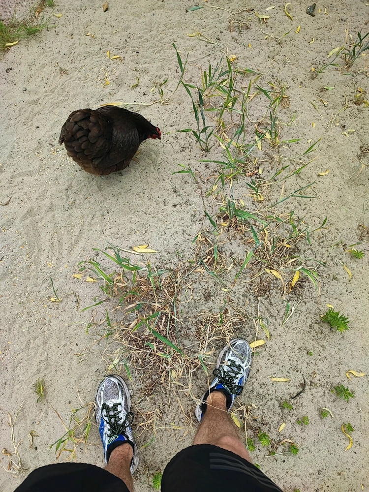 Afbeelding geüpload door Marix